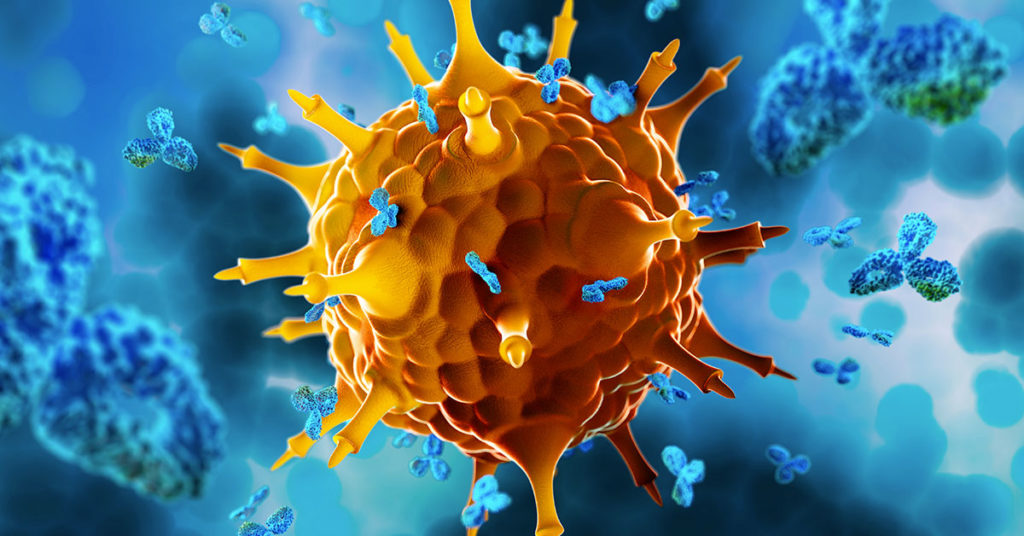 Células del sistema inmune dentro del organismo