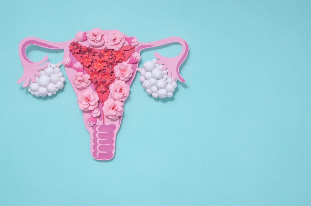 Maqueta rosa que representa el sistema reproductor femenino.