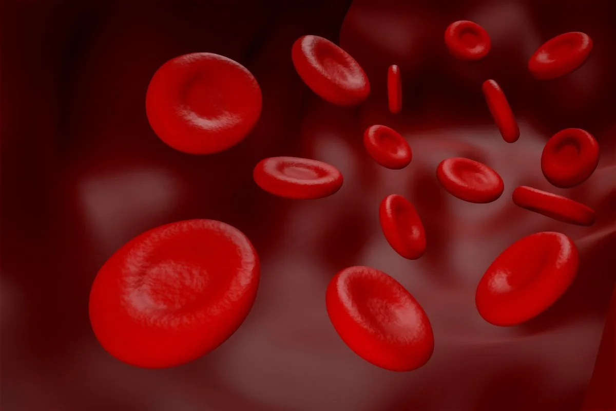 La hematología es la especialidad médica para el análisis de la sangre y su atención